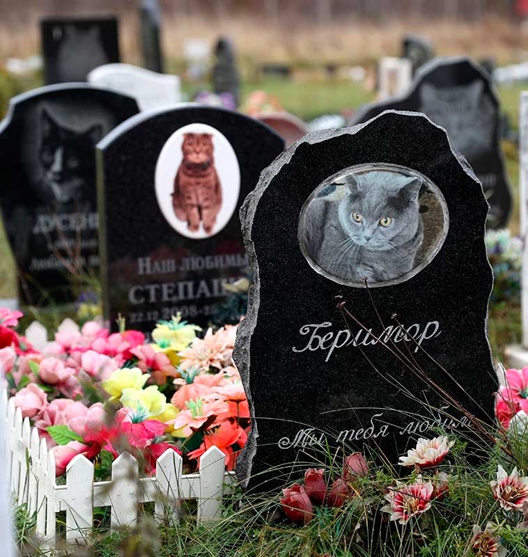 Захоронения животных (собаки, кошки) в городе Химки